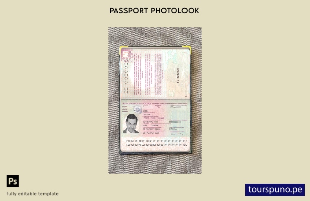 listo para imprimir la plantilla de aspecto fotográfico del pasaporte de Polonia